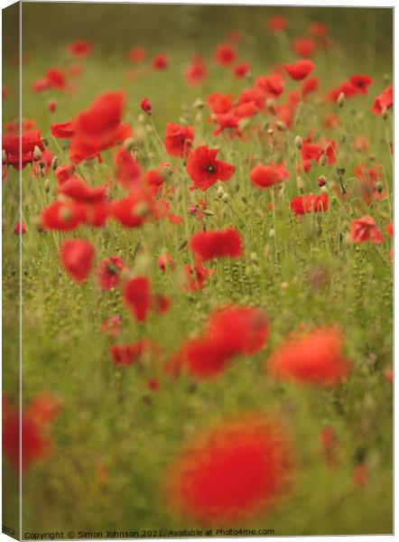 Cotswold Poppies  Canvas Print by Simon Johnson