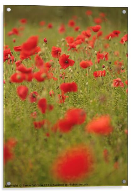 Cotswold Poppies  Acrylic by Simon Johnson