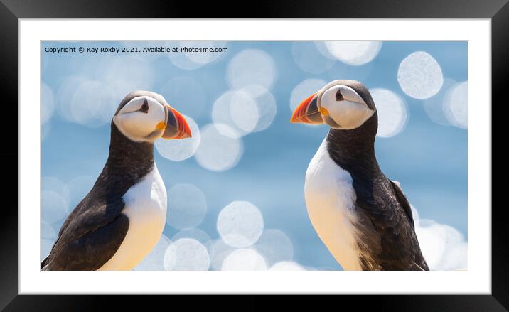Puffins Framed Mounted Print by Kay Roxby