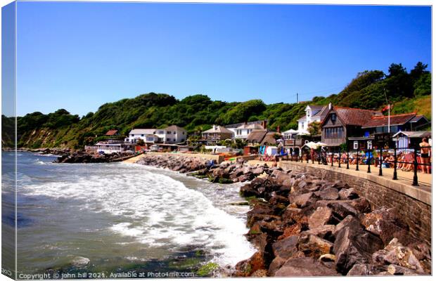 Steephill cove on the Isle of Wight Canvas Print by john hill