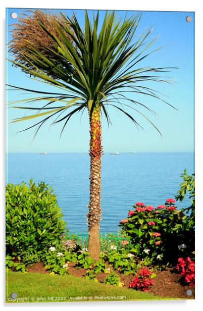 English palm tree. Acrylic by john hill