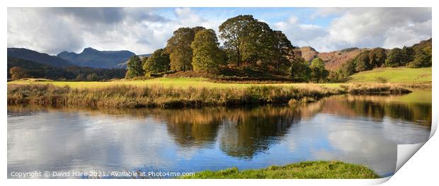 River reflections Print by David Hare