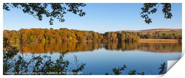 Talkin Tarn Brampton Print by David Hare