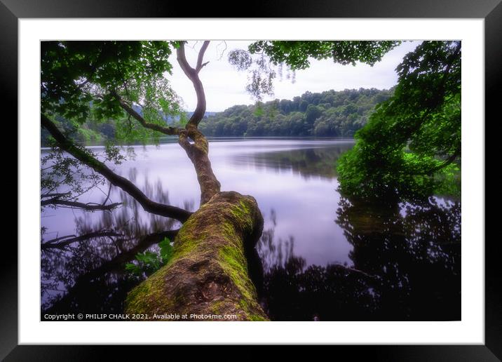 Lake Gormire near Sutton bank 553  Framed Mounted Print by PHILIP CHALK