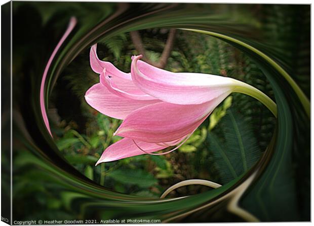In the Pink Canvas Print by Heather Goodwin