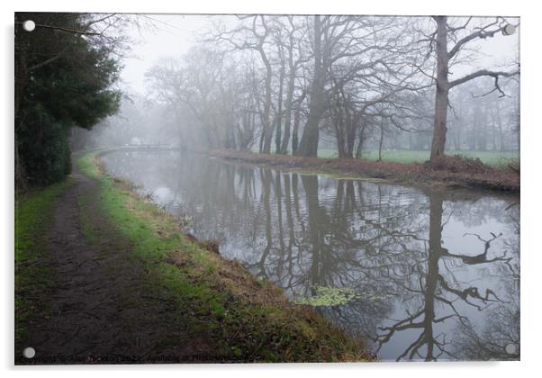 Mist over the river Acrylic by Alan Jackson