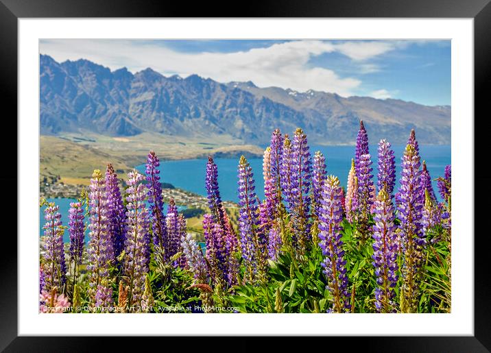 New Zealand. Lupins at Lake Wakatipu Queenstown Framed Mounted Print by Delphimages Art