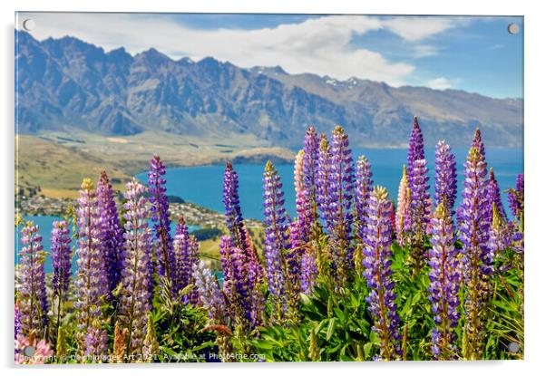 New Zealand. Lupins at Lake Wakatipu Queenstown Acrylic by Delphimages Art