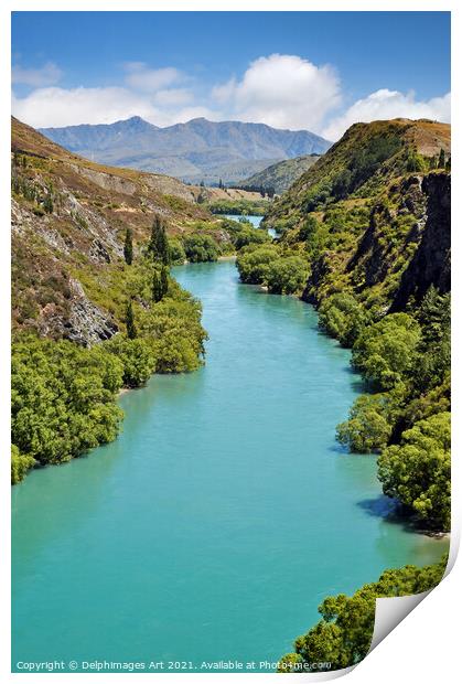 New Zealand landscape. Kawarau river Print by Delphimages Art