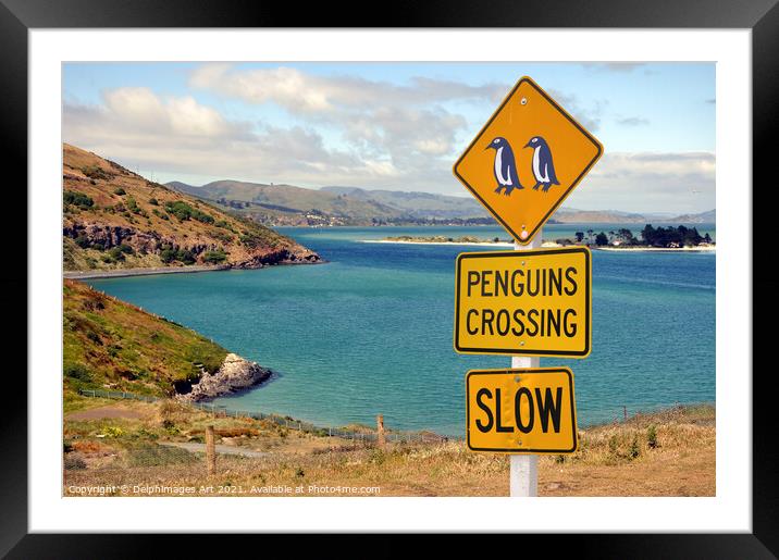 Penguins crossing roadsign in New Zealand Framed Mounted Print by Delphimages Art