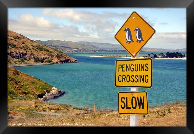 Penguins crossing roadsign in New Zealand Framed Print by Delphimages Art