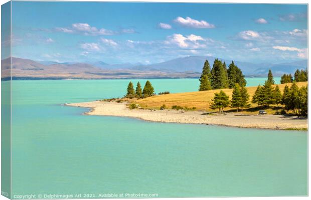 New Zealand landscape. Lake Pukaki  Canvas Print by Delphimages Art