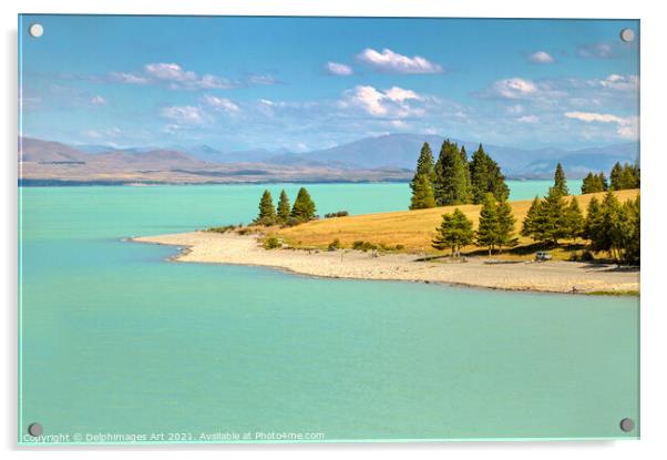 New Zealand landscape. Lake Pukaki  Acrylic by Delphimages Art