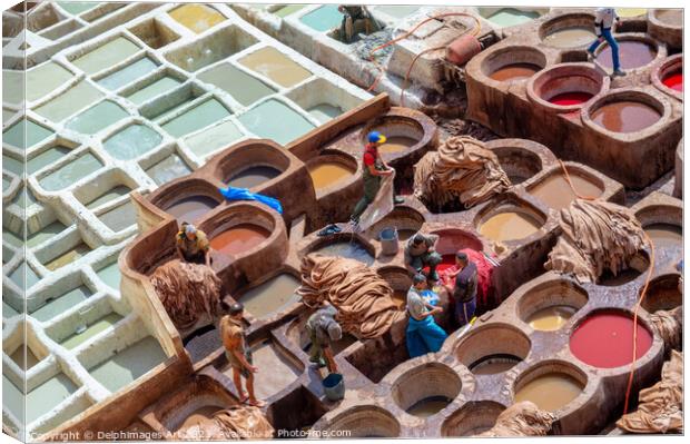 Colorful old leather tanneries of Fez, Morocco Canvas Print by Delphimages Art