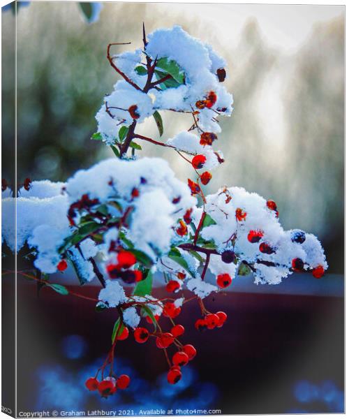 Winter berries in snow Canvas Print by Graham Lathbury