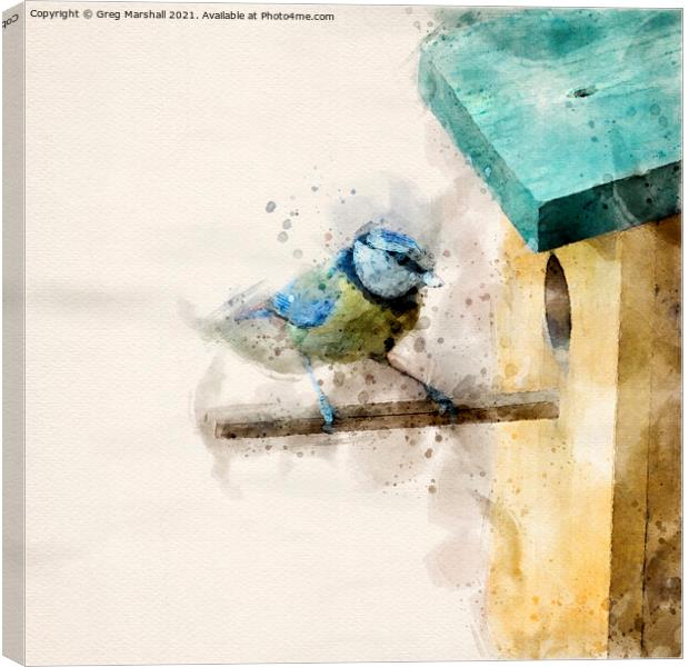 Blue Tit entering Nesting Box Digital Watercolour Canvas Print by Greg Marshall