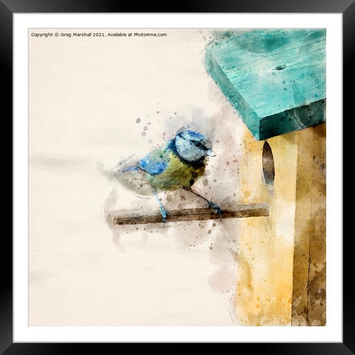 Blue Tit entering Nesting Box Digital Watercolour Framed Mounted Print by Greg Marshall