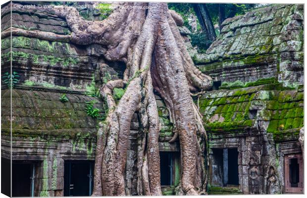 Ta Prohm, the tomb raider temple in Angkor Cambodia Asia Canvas Print by Wilfried Strang