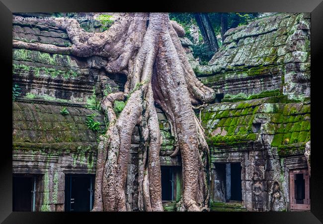 Ta Prohm, the tomb raider temple in Angkor Cambodia Asia Framed Print by Wilfried Strang
