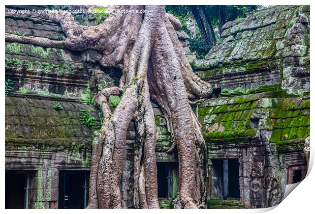 Ta Prohm, the tomb raider temple in Angkor Cambodia Asia Print by Wilfried Strang