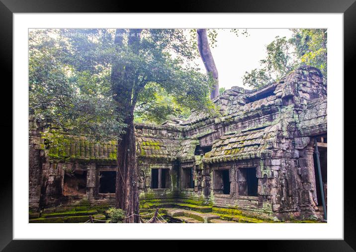 Ta Prohm, the tomb raider temple in Angkor Cambodia Asia Framed Mounted Print by Wilfried Strang