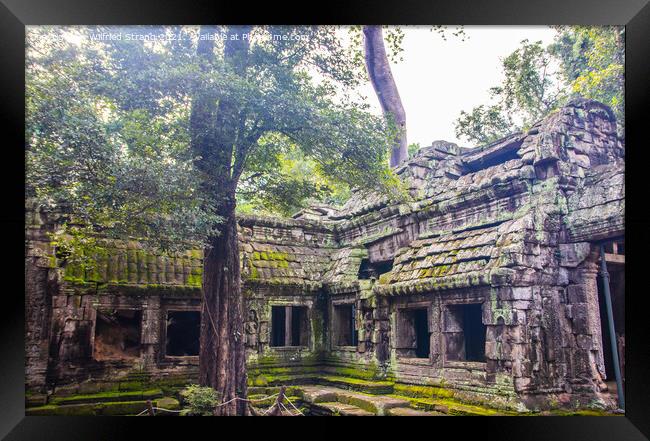 Ta Prohm, the tomb raider temple in Angkor Cambodia Asia Framed Print by Wilfried Strang