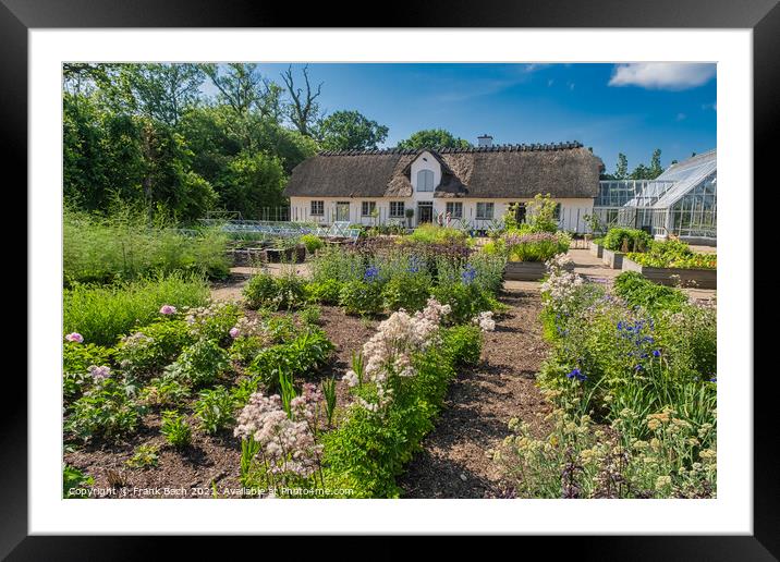 Vegetable garden at the royal Danish queens castle in Graasten,  Framed Mounted Print by Frank Bach