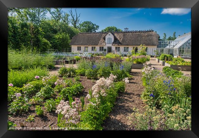 Vegetable garden at the royal Danish queens castle in Graasten,  Framed Print by Frank Bach
