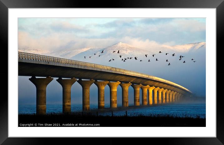 Clackmannanshire Bridge Framed Mounted Print by Tim Shaw