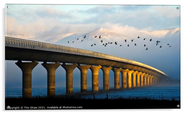 Clackmannanshire Bridge Acrylic by Tim Shaw