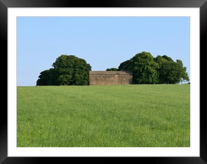 Lone barn Framed Mounted Print by Roy Hinchliffe