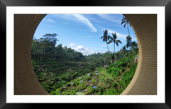 Tegalalang rice terraces in Ubud, Bali Framed Mounted Print by Yann Tang