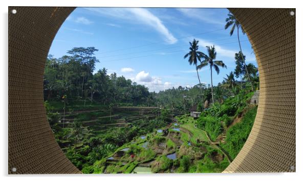Tegalalang rice terraces in Ubud, Bali Acrylic by Yann Tang
