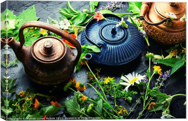 Teapot with fresh medicinal herbs Canvas Print by Mykola Lunov Mykola