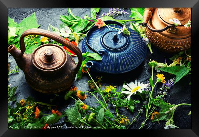 Teapot with fresh medicinal herbs Framed Print by Mykola Lunov Mykola