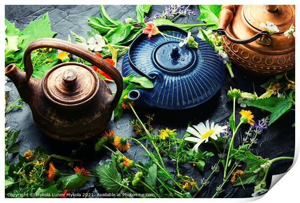 Teapot with fresh medicinal herbs Print by Mykola Lunov Mykola