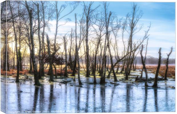 New Forest Trees on Ice Canvas Print by Brett Gasser