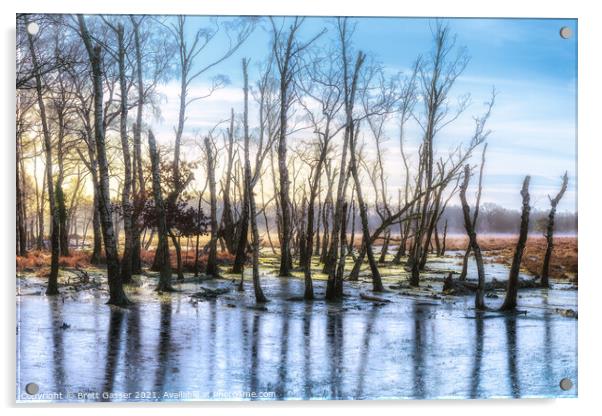 New Forest Trees on Ice Acrylic by Brett Gasser