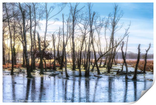 New Forest Trees on Ice Print by Brett Gasser