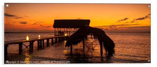 Caribbean Evening Sunset Acrylic by David Hare