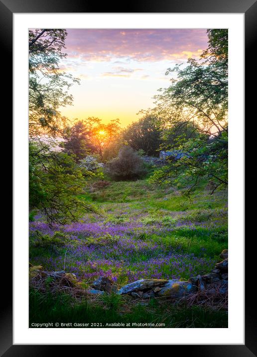 Bluebell Sunset Framed Mounted Print by Brett Gasser