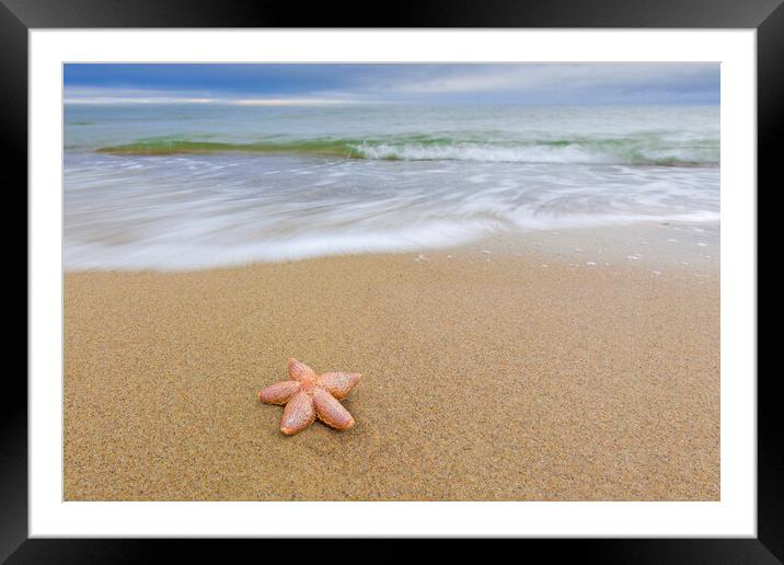 Starfish on Sandy Beach Framed Mounted Print by Arterra 
