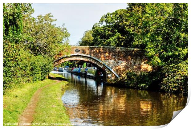 Princefield Bridge Penkridge Canal Staffordshire Print by Diana Mower