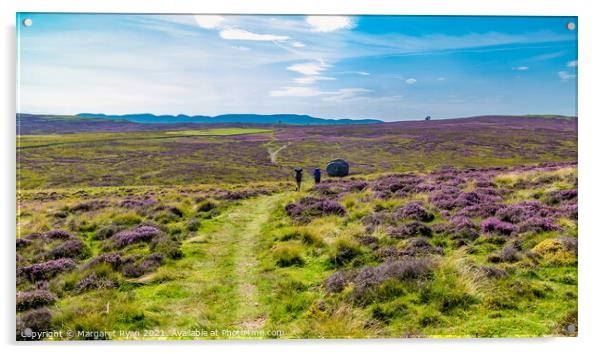 A Purple Heathered Yorkshire Journey Acrylic by Margaret Ryan