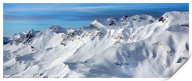 Alpine view Print by David Hare