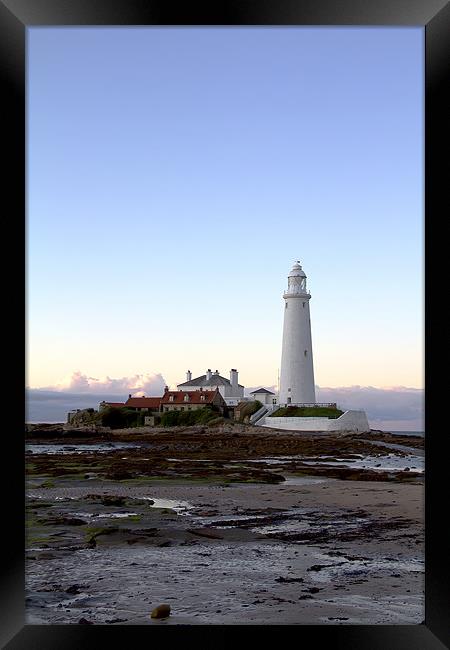 St Mary`s Lighthouse Framed Print by Northeast Images