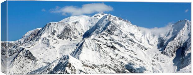Mt Blanc Panorama Canvas Print by David Hare