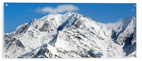 Mt Blanc Panorama Acrylic by David Hare