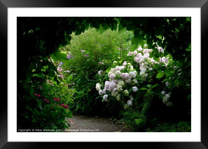 View through a leafy archway along a garden path Framed Mounted Print by Peter Wiseman