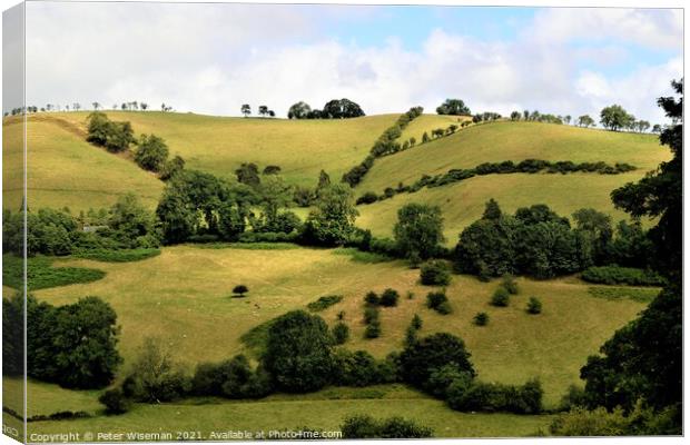 English countryside near Newcastle on Clun, Shrops Canvas Print by Peter Wiseman